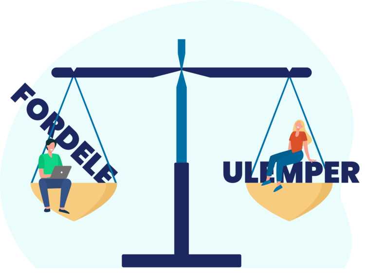 5.4 - Fordele og ulemper ved hurtige lån.jpg